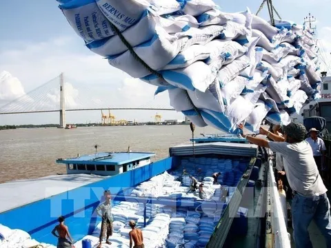 Phó Thủ tướng yêu cầu làm rõ vụ hải quan mở tờ khai xuất khẩu gạo lúc nửa đêm