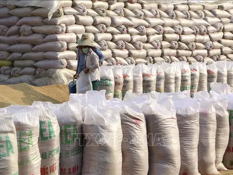 Điều tiết linh hoạt đảm bảo an ninh lương thực