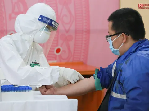 4 mẫu test nhanh nghi dương tính Covid-19 ở chợ hoa Mê Linh cho kết quả âm tính