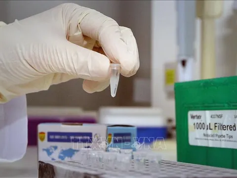 WHO và Anh công nhận bộ xét nghiệm COVID-19 của Việt Nam