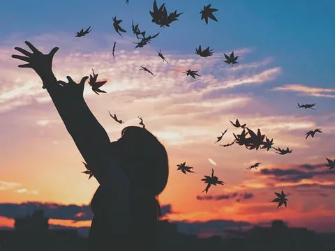 Phụ nữ thích đàn ông đẹp, mê đàn ông giàu có nhưng chỉ trọn đời ở bên người có Tâm