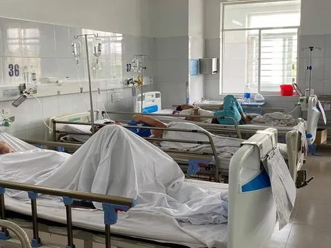 Nguyên nhân khiến 230 người tại Đà Nẵng nhập viện sau bữa cơm chay