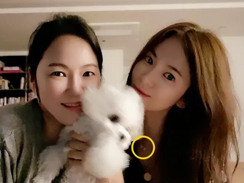 Lộ bằng chứng Song Hye Kyo và Hyun Bin tái hợp