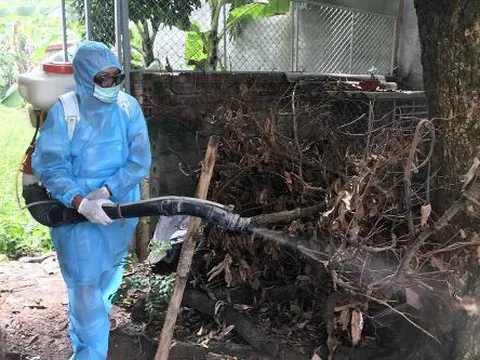 Ca nhiễm virus Zika ở Đà Nẵng đã khỏi bệnh