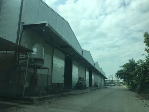 Thanh Oai: Công ty Cổ phần Viglacera Từ Liêm 'xẻ đất' cho thuê trái phép