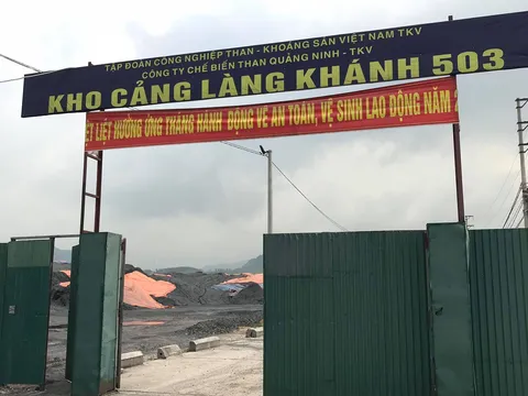 Quảng Ninh: Công ty TNHH Thái Sơn 503 bị xử phạt 300 triệu đồng