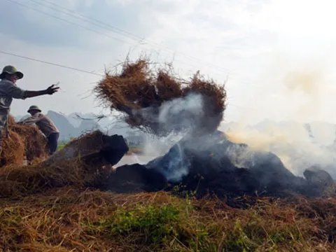 Hà Nội đề xuất cấm đốt rơm rạ, phụ phẩm nông nghiệp