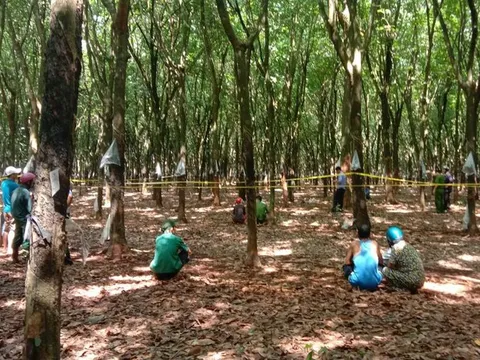 Người đàn ông tử vong trong tư thế treo cổ ở Bình Phước