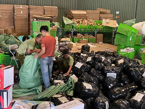 Phát hiện kho hàng lậu số lượng lớn tại cảng Mỹ Đình