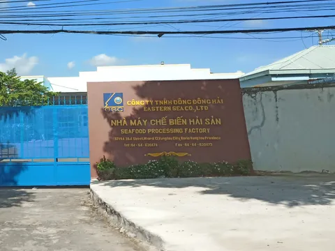 Vũng Tàu: Công ty Đông Đông Hải bị xử phạt về hành vi xả thải vượt mức quy định