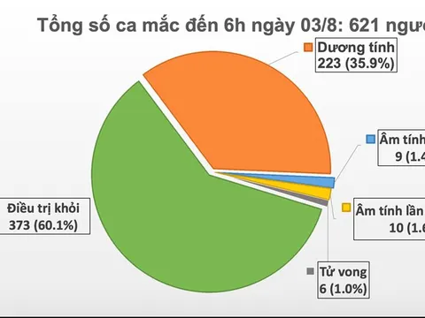Thêm 1 ca mắc mới COVID-19 ở Quảng Ngãi, Việt Nam có 621 ca bệnh