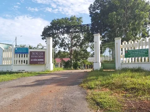 Phó chủ tịch xã ở Phú Quốc thi tốt nghiệp THPT: Xem xét kỷ luật do dùng bằng giả