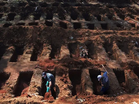 Gần 20 triệu người nhiễm, 733.117 người chết vì Covid-19 trên toàn cầu