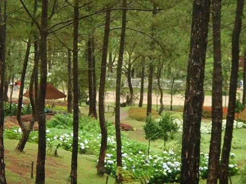 Tìm thấy thi thể cụ bà sau hơn 1 tuần mất tích