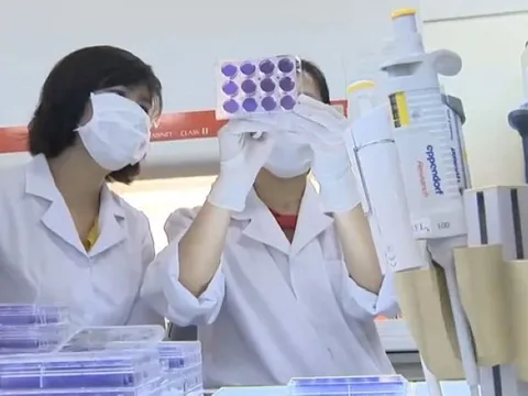 Vắc-xin phòng Covid-19 của Việt Nam sẽ được thử nghiệm vào cuối năm