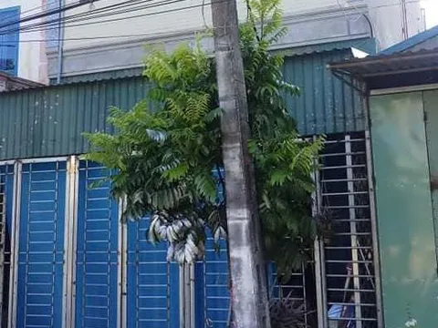 Thái Bình: Mâu thuẫn gia đình, chồng tẩm xăng đốt vợ bỏng 90% cơ thể