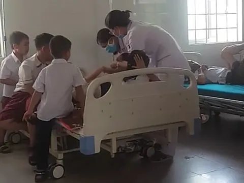 16 em học sinh tiểu học nhập viện vì bị ong đốt trong giờ ra chơi