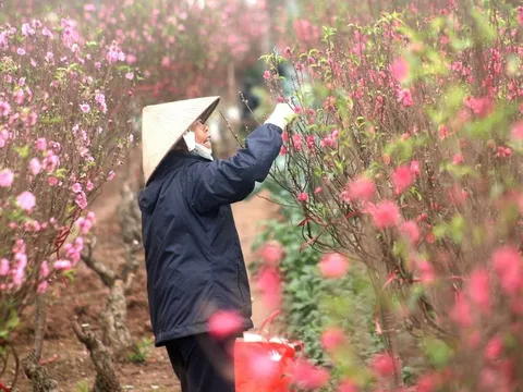 Bộ Lao động đề xuất hai phương án nghỉ Tết Tân Sửu 2021