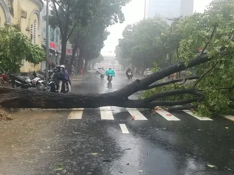 Bão số 5 đã vào đất liền các tỉnh Quảng Trị - Thừa Thiên Huế