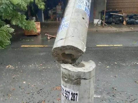 Điện lực Đà Nẵng lên tiếng về vụ cột điện không lõi sắt bị gãy do ảnh hưởng bão số 5