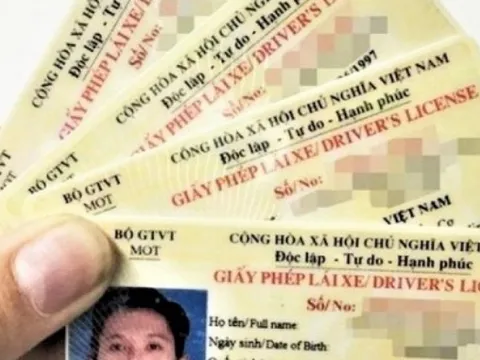 Phát hiện nhiều website tra cứu thông tin Giấy phép lái xe giả mạo