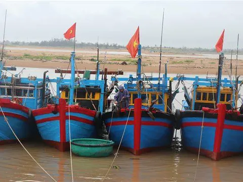 Các tỉnh, thành phố từ Thừa Thiên-Huế đến Ninh Thuận chủ động ứng phó với bão số 9