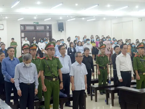 Xét xử vụ án tại BIDV: 12 bị cáo lĩnh án từ 3 năm tù đến 18 năm tù