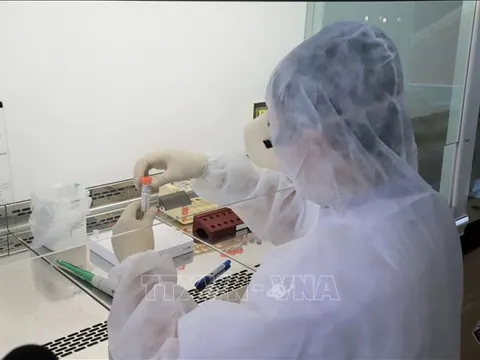 Dịch COVID-19: Cách ly toàn bộ Khoa Hồi sức cấp cứu, Bệnh viện Đa khoa tỉnh Quảng Ninh