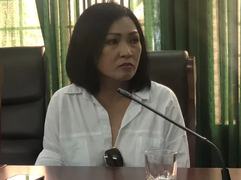 Phương Thanh viết tâm thư xin lỗi người dân Quảng Ngãi sau ồn ào phát ngôn