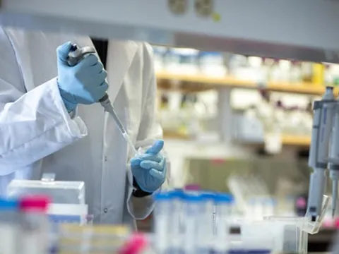 Vaccine COVID-19 của Việt Nam đang trong giai đoạn thử nghiệm tiền lâm sàng