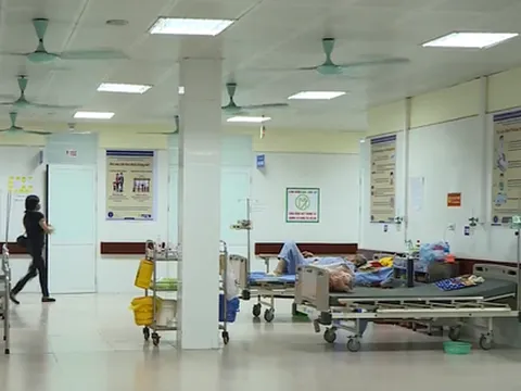 Bắc Ninh: 157 người ngộ độc sau khi ăn cỗ khánh thành chùa