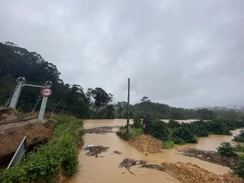 Lâm Đồng: Lũ quét bất ngờ ập đến, 2 du khách bị mất tích