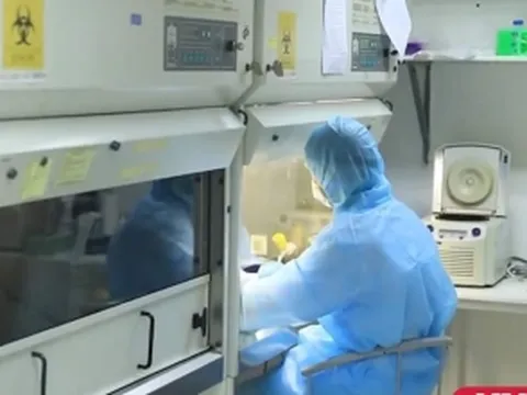 TP.HCM: Tất cả các mẫu xét nghiệm F1 đã có kết quả âm tính