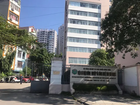 Viện Cơ điện Nông nghiệp và Công nghệ sau thu hoạch cho thuê đất trái phép