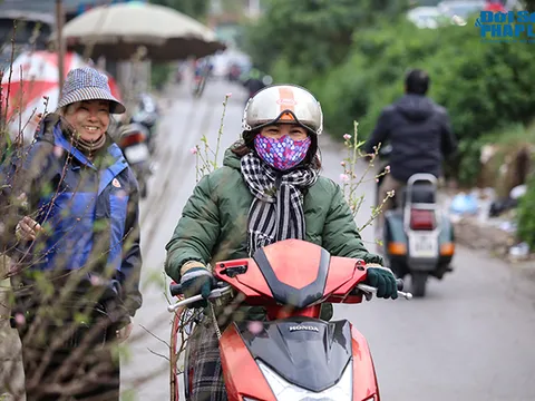 Thời tiết rét đậm, đào Nhật Tân xuống phố báo hiệu cái Tết đã cận kề