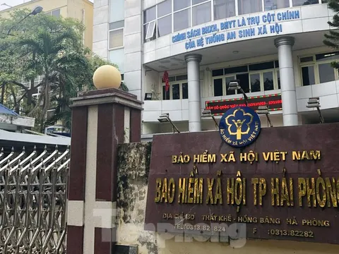 Nữ Giám đốc Bảo hiểm xã hội ở Hải Phòng bị cách chức