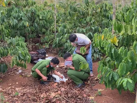 Lời khai của nghi can sát hại, phi tang thi thể ngươi đàn bà trong rẫy cà phê