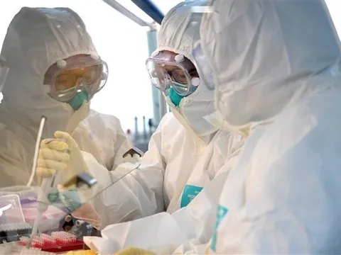 Dịch COVID-19: WHO nâng cảnh báo toàn cầu lên mức 'rất cao'