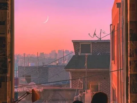 Yêu một ai đó, hãy để họ tự do!