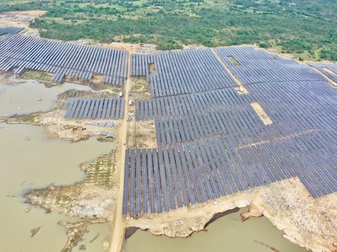 T&T Group đồng loạt hòa lưới điện 3 nhà máy điện mặt trời