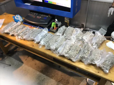 Bắt giữ hơn 5 kg cần sa được gửi từ Cannada về Việt Nam