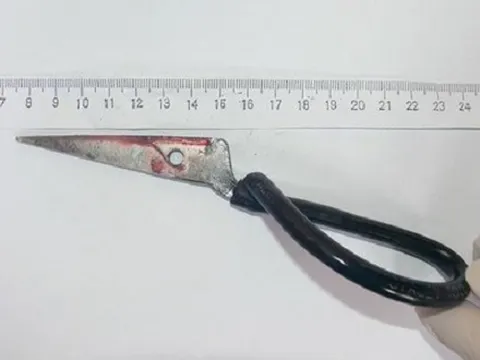 Học sinh lớp 5 bị nam sinh lớp 8 đâm tử vong khi đang đi trên đường