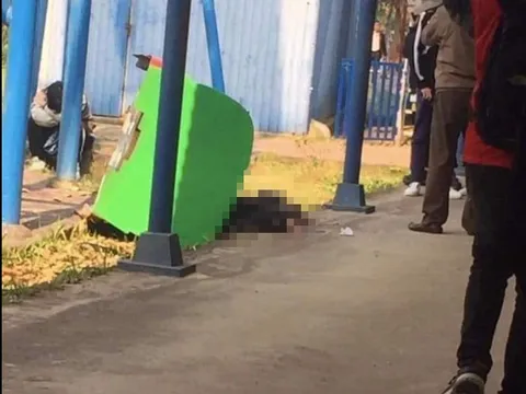 Đình chỉ hoạt động khu du lịch Đảo Ngọc Xanh sau sự cố tàu lượn văng khỏi đường ray