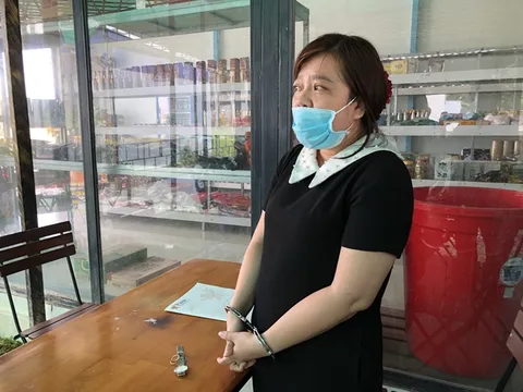 Bắt tạm giam nữ Giám đốc lừa đảo chiếm đoạt hơn 5 tỷ đồng