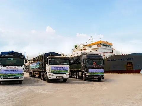 Vinamilk nhập khẩu hơn 2.100 bò sữa HF thuần chủng từ Mỹ về trang trại mới tại Quảng Ngãi