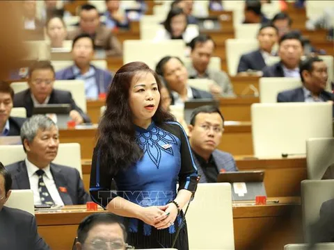 Đánh giá cao nỗ lực, trách nhiệm của Chủ tịch nước, Chính phủ trong nhiệm kỳ 2016-2021