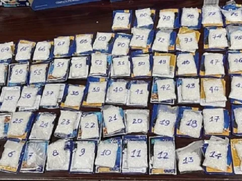 TP.HCM: Phát hiện 4kg ma túy giấu trong gói thức ăn cho mèo ở sân bay Tân Sơn Nhất