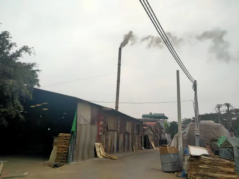 Gia Lâm (Hà Nội): Cơ sở gỗ ép Lâm Hùng hoạt động gây ô nhiễm môi trường