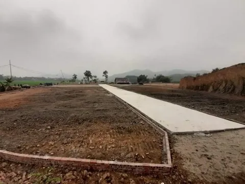 Hạ Hòa (Phú Thọ): San hạ cốt nền trái phép, phân lô đất ở để bán