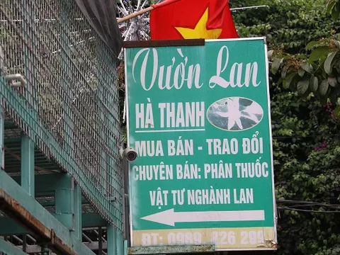 Công an Hà Nội lên tiếng về vụ chủ vườn lan 'ôm' 11 tỷ đồng bỏ trốn
